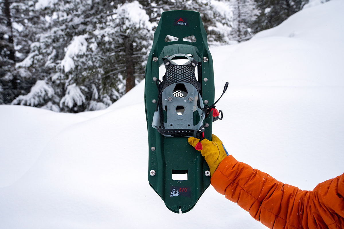 Snowshoes (holding up MSR Evo Trail)